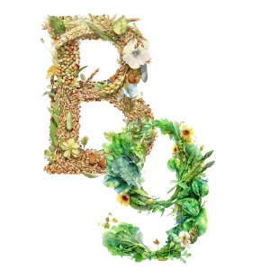 Vitamin B9 to beat stress and anxiety