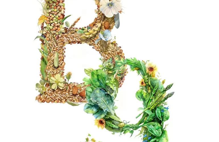 Vitamin B9 to beat stress and anxiety