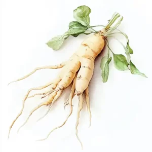 Adaptogens to boost focus and ease anxiety and stress